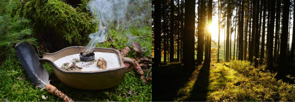 Kräuterwanderungen & Räucherkurse