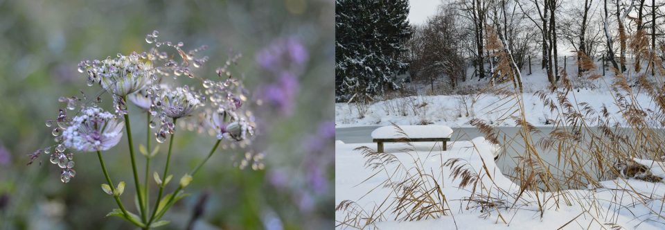 Kräuterwanderungen & Räucherkurse